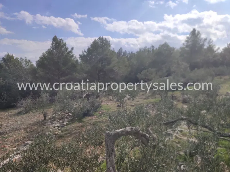 Brac, agricultural land for sale, 197.000 € – 3