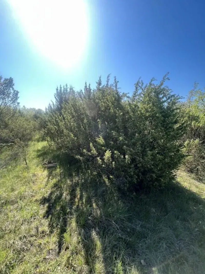 Terreno Juršići – 3