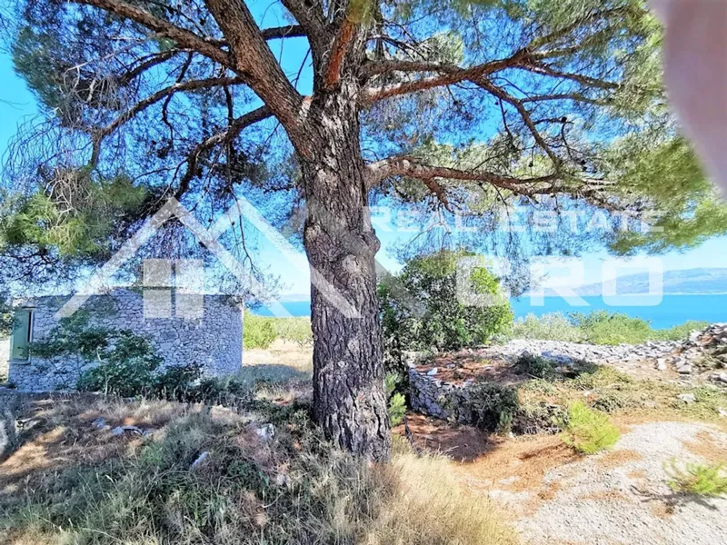 Immobili Brač - Ampio terreno agricolo con uliveto, in zona tranquilla con splendida vista, in vendita – 3