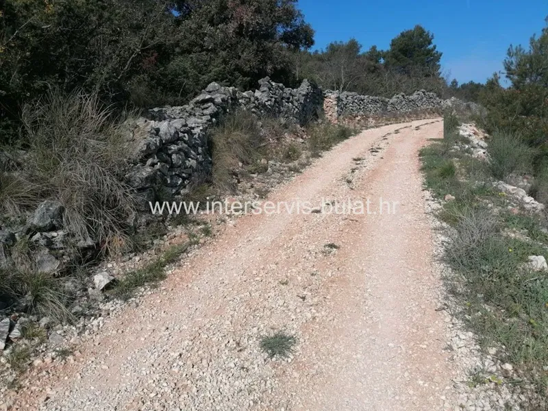 Telek Bilice – 3