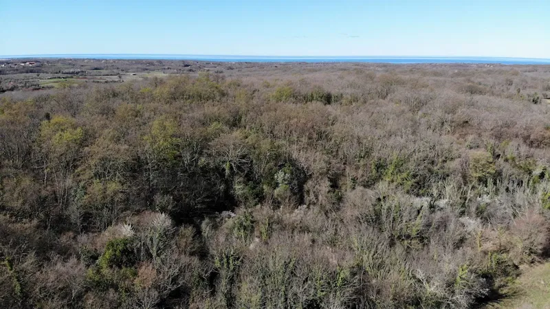 Immobiliare Istria, vendo terreno agricolo, dintorni Umag – 2