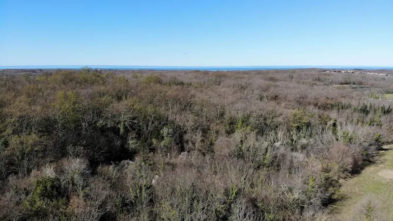 Immobiliare Istria, vendo terreno agricolo, dintorni Umag – 3