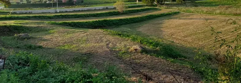 Land Lovrin, Pazin - Okolica, 3.100m2 – 2