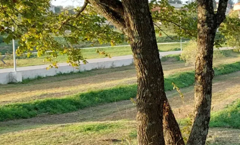 Land Lovrin, Pazin - Okolica, 3.100m2 – 3
