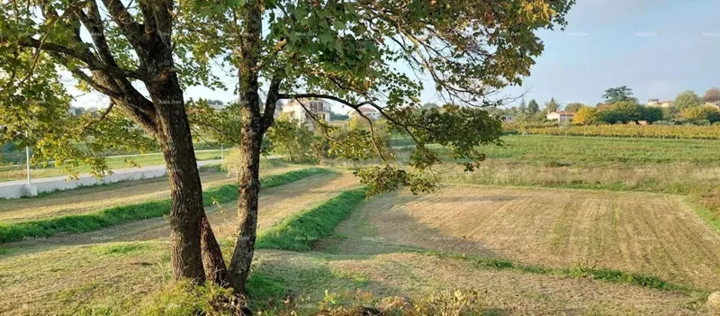 Building land Pazin - 3,153m2 – 3
