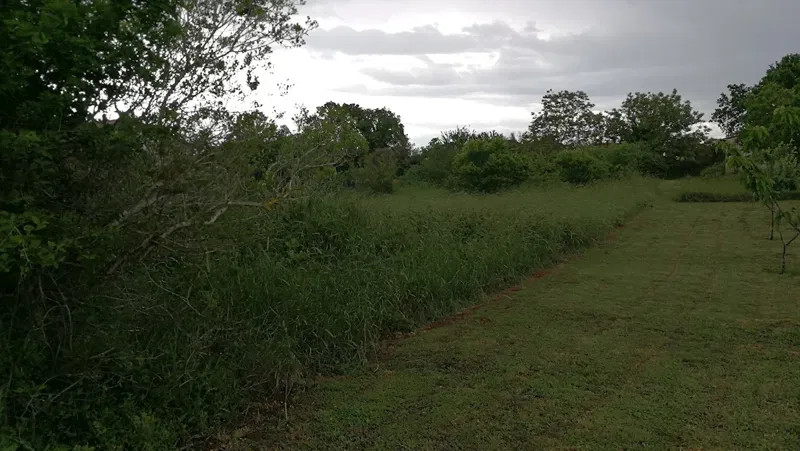 Terreno agricolo, Shishan, 1500 m2 – 2