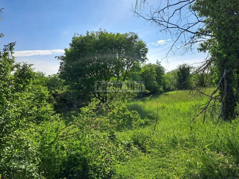 Višnjan, surrounding area, building plot in a quiet place – 2