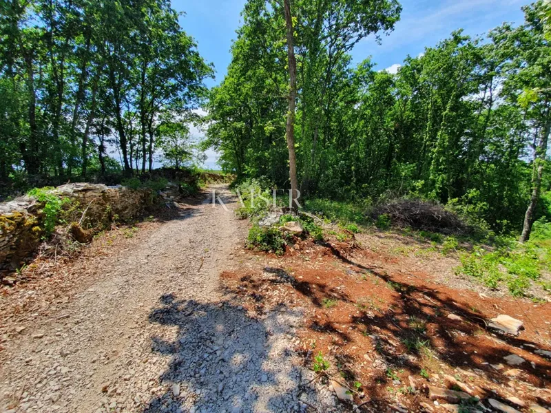 Stavebný pozemok Sveti Lovreč, 871m2 – 3