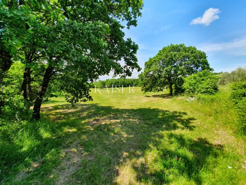 Building land Sveti Lovreč, 6.852m2 – 3