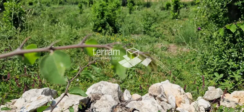 Istria, Medulin, building plot 563m2, #sale – 2