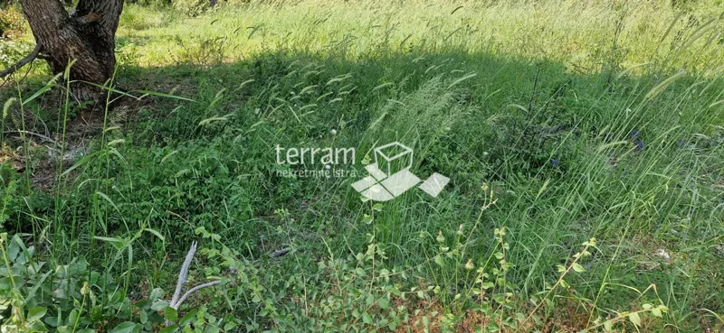Istria, Medulin, terreno edificabile 1036m2, #vendita – 2