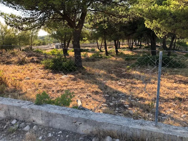 Un terreno di 5000 m2 è in vendita – 2
