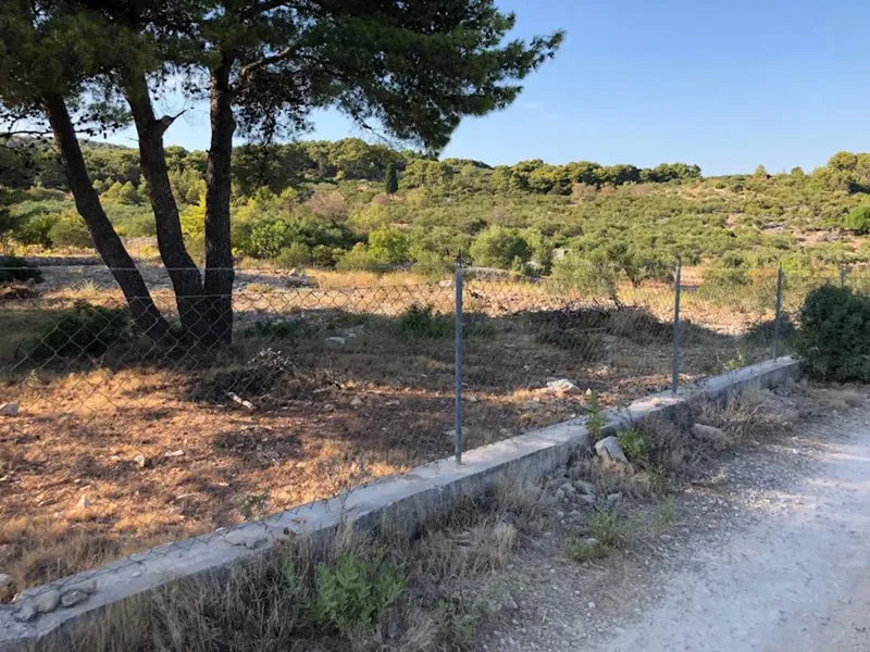 Un terreno di 5000 m2 è in vendita – 3