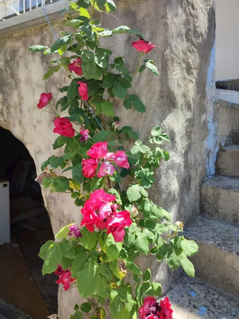 Dom Draga Bašćanska – 2