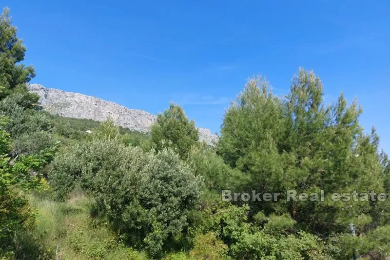 Land with a sea view – 2
