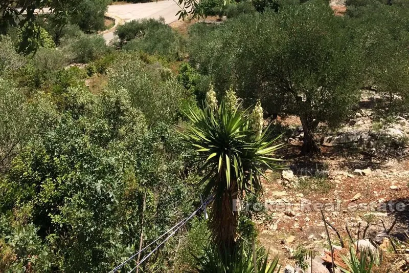 Terreno edificabile con vista mare – 3