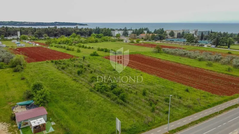 Telek Novigrad – 2