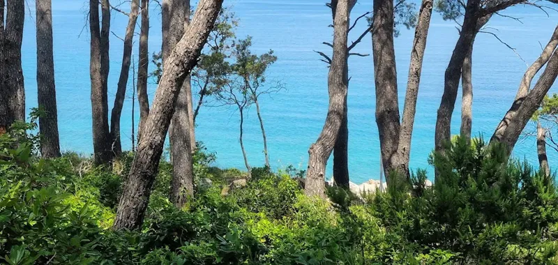 Hvar island, NW side - attractive sea front building plot – 2