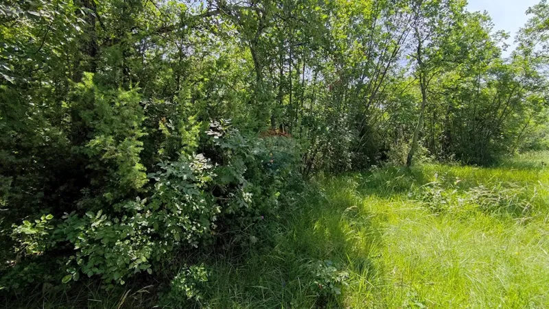 Terreno non edificabile Umag, 2.000m2 – 2