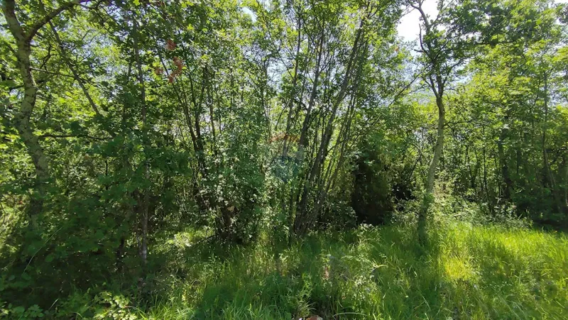 Terreno non edificabile Umag, 2.000m2 – 3