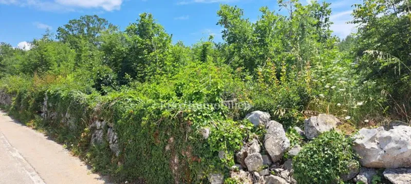 Telek Malinska – 3