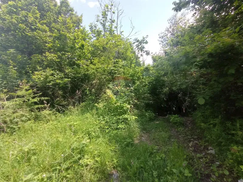 Pozemok Lukovdol – 3