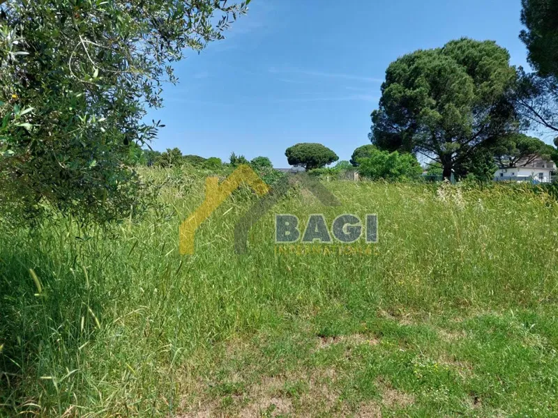 Beautiful land Valbandon – 2
