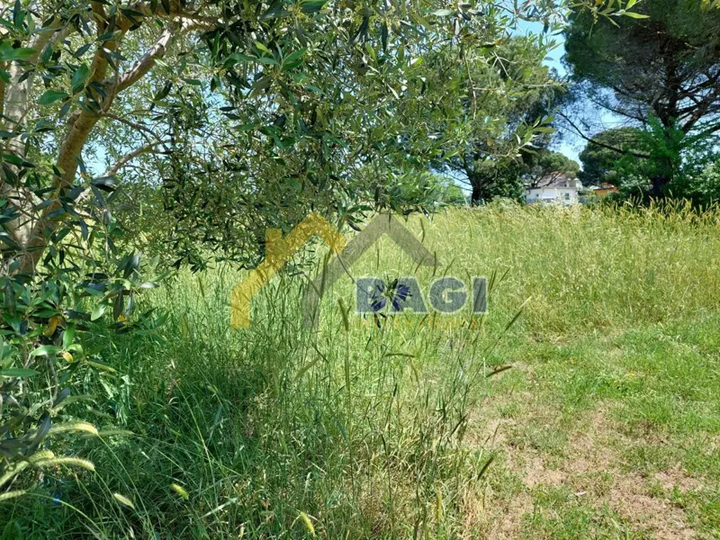 Beautiful land Valbandon – 3