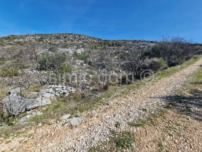 Telek Jarebinjak – 3