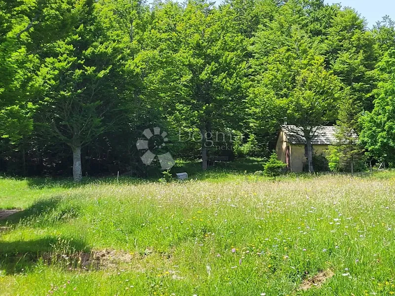 Land Bribir, Vinodolska Općina, 7.018m2 – 2