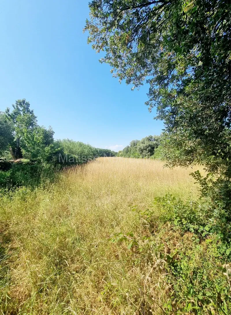 Pozemek Šišan – 3