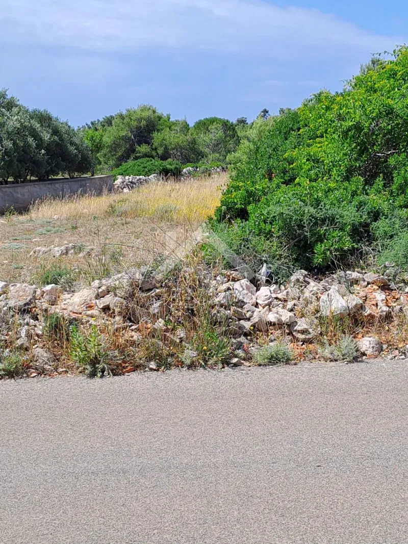Land Vir, 636m2 – 3