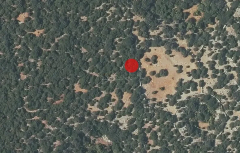 Nerezina, Island Losinj - Agricultural. 18910 m2 – 2