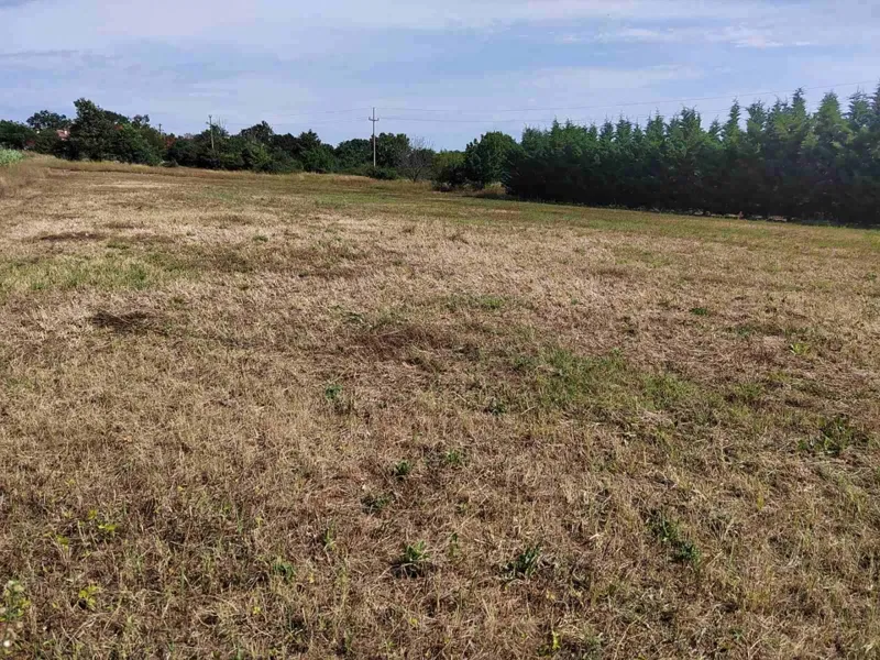 Poreč - building plot 6 km from Poreč and the sea – 3