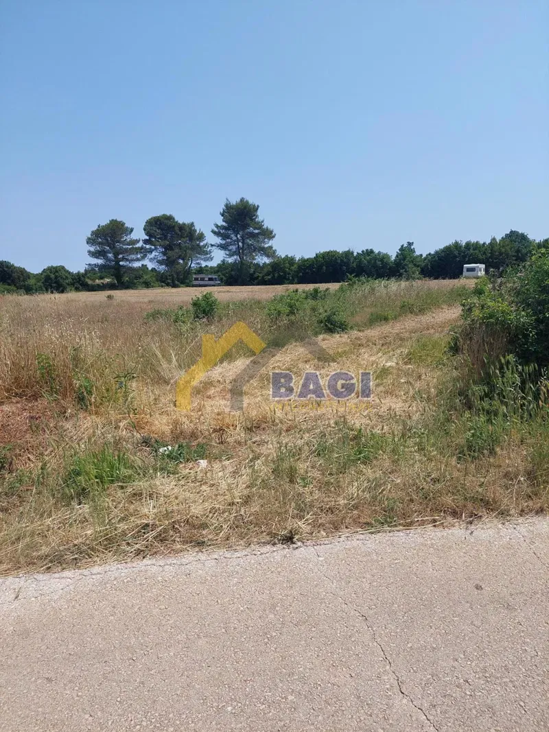 Istria - terreni agricoli vicino al mare di Šišan – 2