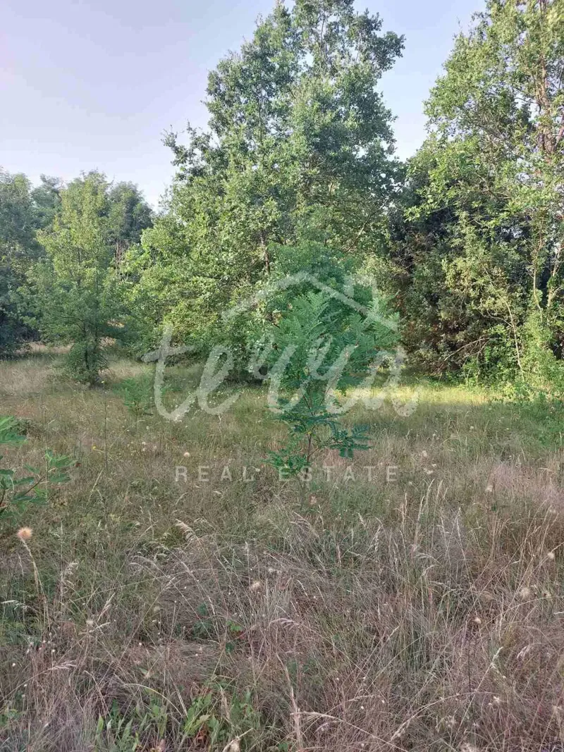 Land Kunj, Raša, 5.661m2 – 2