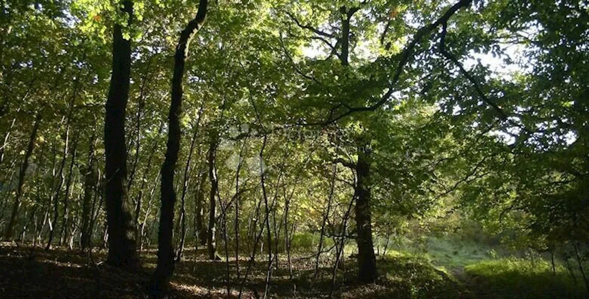 Föld Čabar, 10.441m2