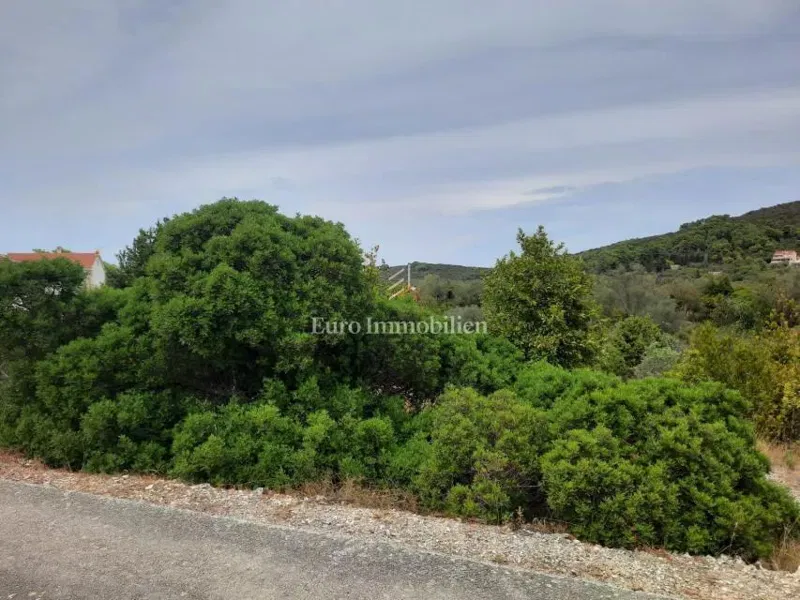 Dugi otok - bel terreno a 70 m dal mare – 3