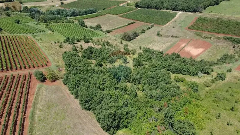 Terreno non edificabile Vižinada, 10.286m2 – 2