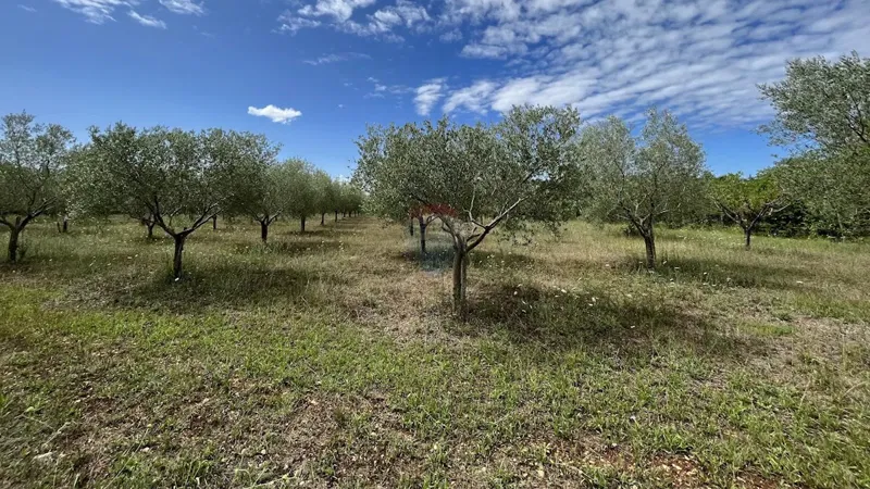 Non-structural plot Labinci, Kaštelir-Labinci, 8.841m2 – 3