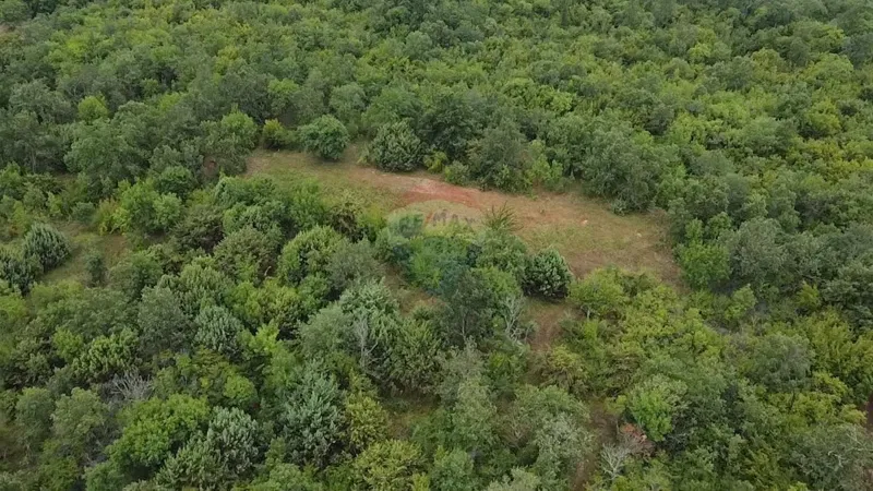 Non-structural plot Radmani, Poreč, 4.756m2 – 2