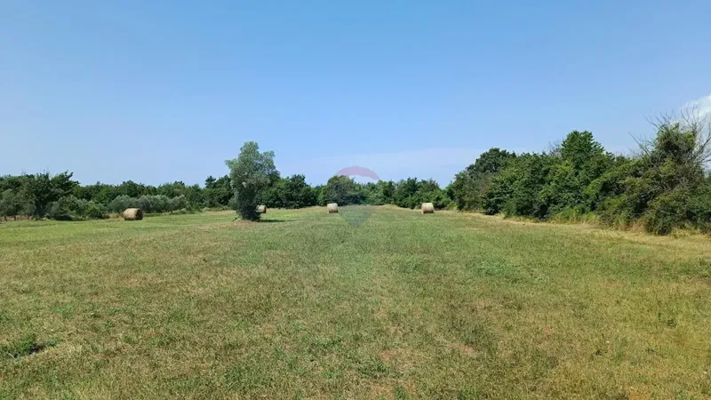 Terreno non edificabile Juršići, Svetvinčenat, 5.864m2 – 2
