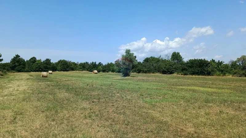 Terreno non edificabile Juršići, Svetvinčenat, 5.864m2 – 3