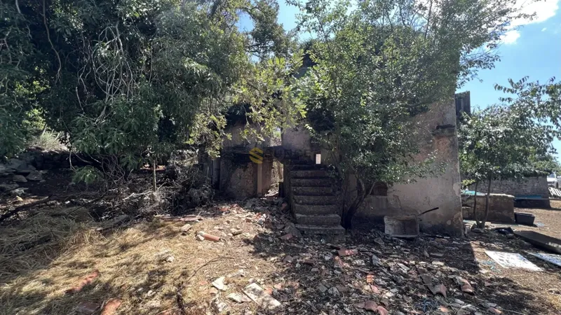 Island of Krk, west side, old stone house with olive grove and sea view! – 2