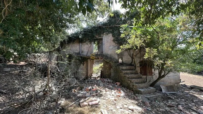 Island of Krk, west side, old stone house with olive grove and sea view! – 3