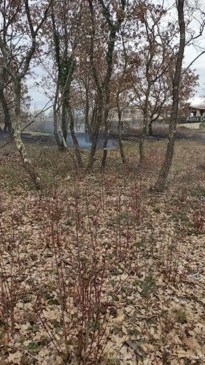 Building plot, – 2