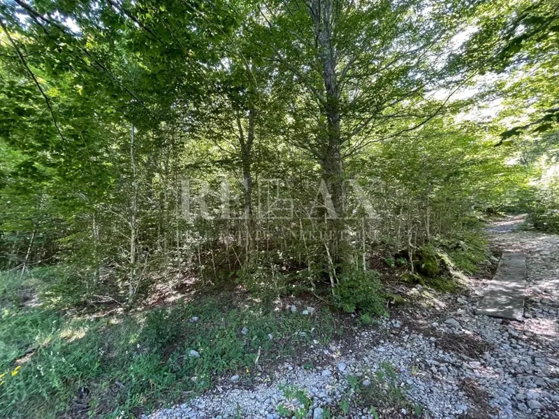 Bribir - building land in a forest area – 2