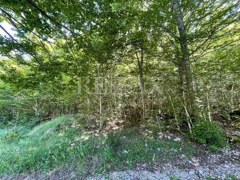 Bribir - building land in a forest area – 3