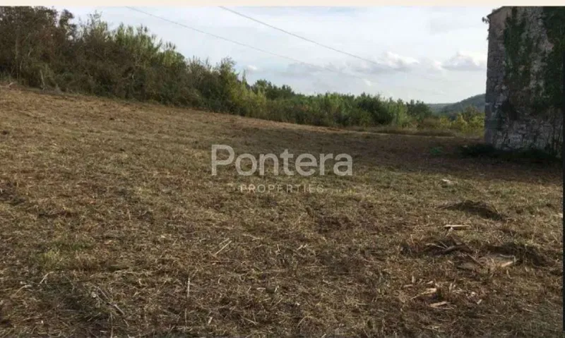 Land Buje, 10.000m2 – 2