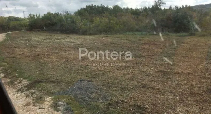 Land Buje, 10.000m2 – 3